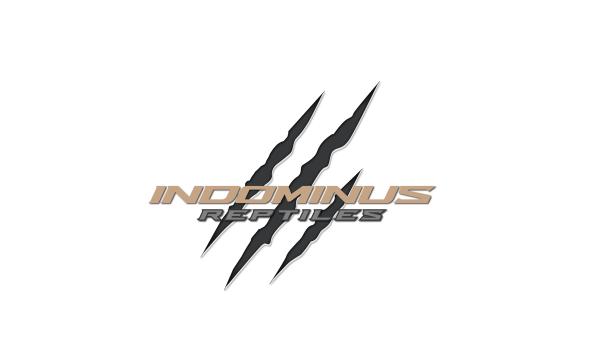Vendor Logo
