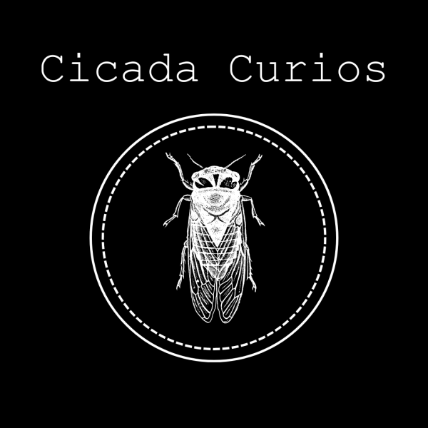 Vendor Logo