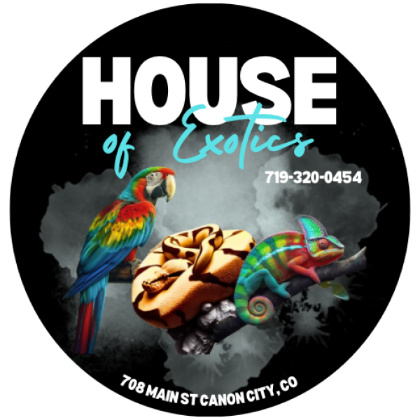 Vendor Logo