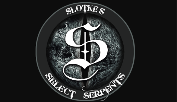 Vendor Logo