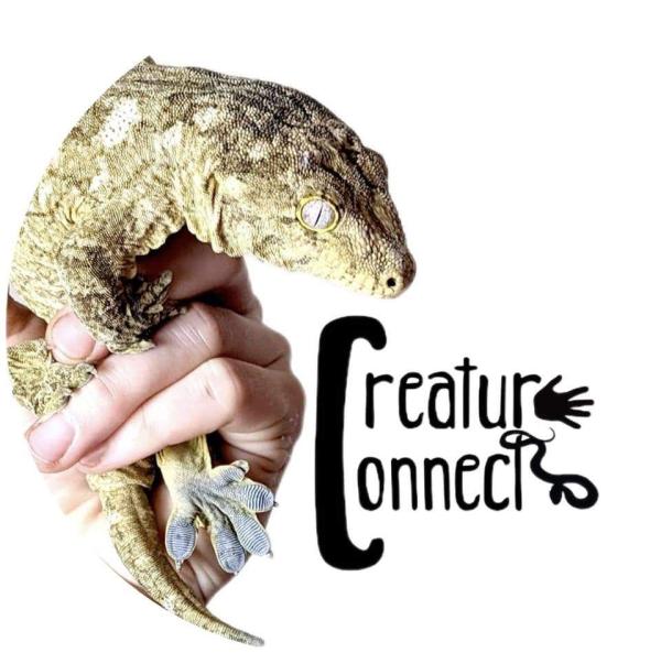 Vendor Logo