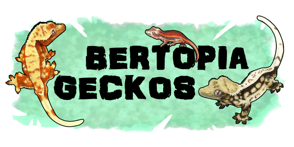 Vendor Logo