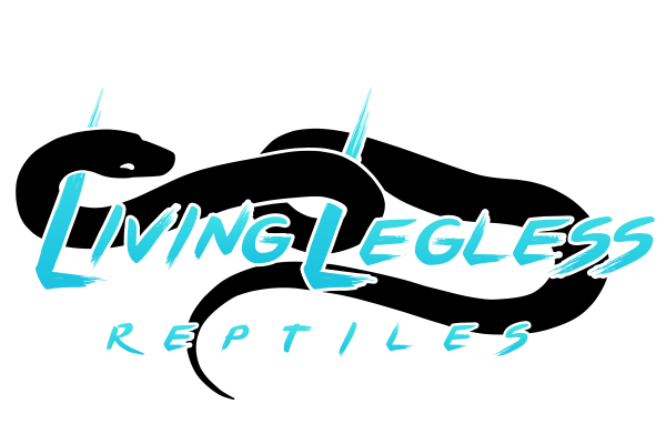 Vendor Logo