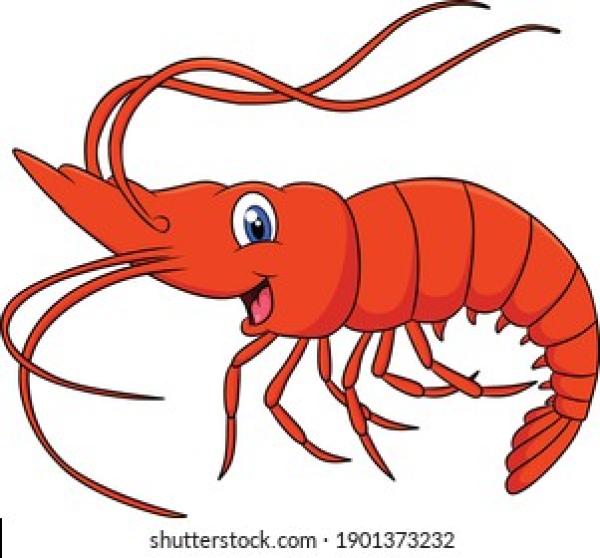 Vendor Logo