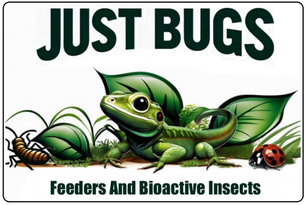 Vendor Logo