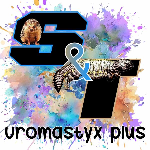 Vendor Logo