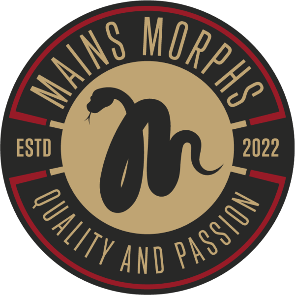 Vendor Logo