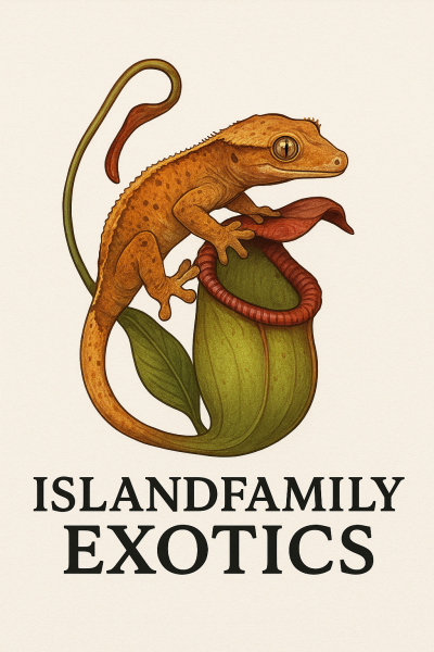 Vendor Logo