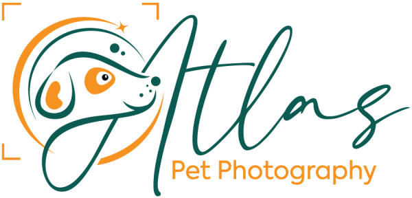 Vendor Logo