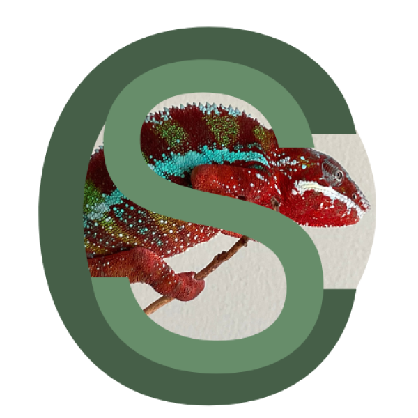 Vendor Logo