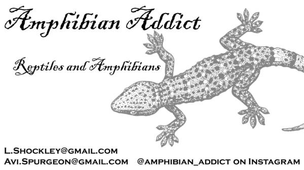 Vendor Logo