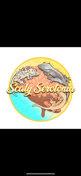 Vendor Logo