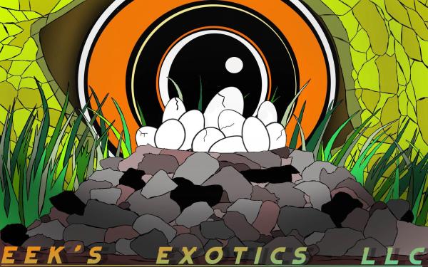 EEK'S EXOTICS LLC  Logo