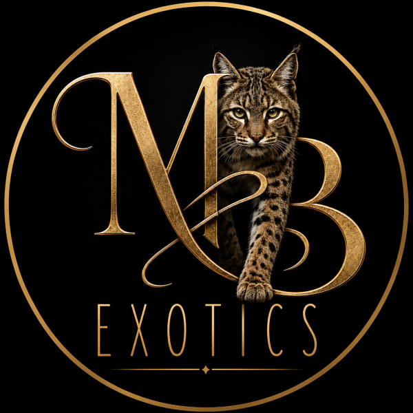 Vendor Logo