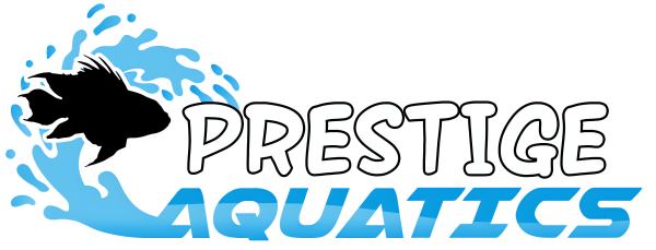 Vendor Logo