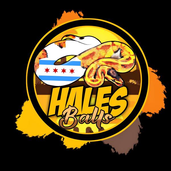 Vendor Logo