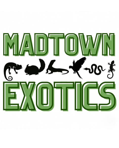 Vendor Logo