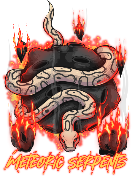 Meteoric Serpents LLC Logo