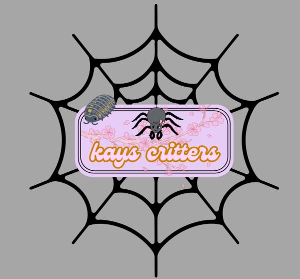 Vendor Logo