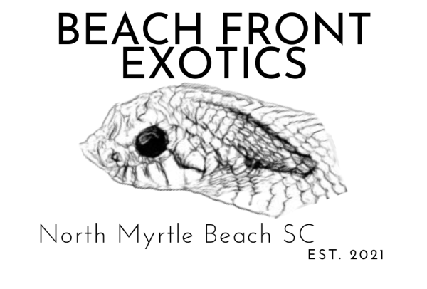 Vendor Logo