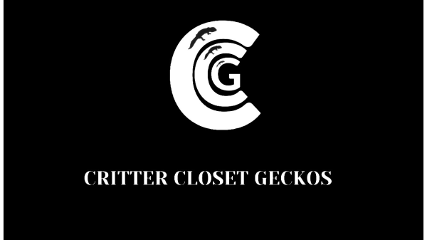 Vendor Logo