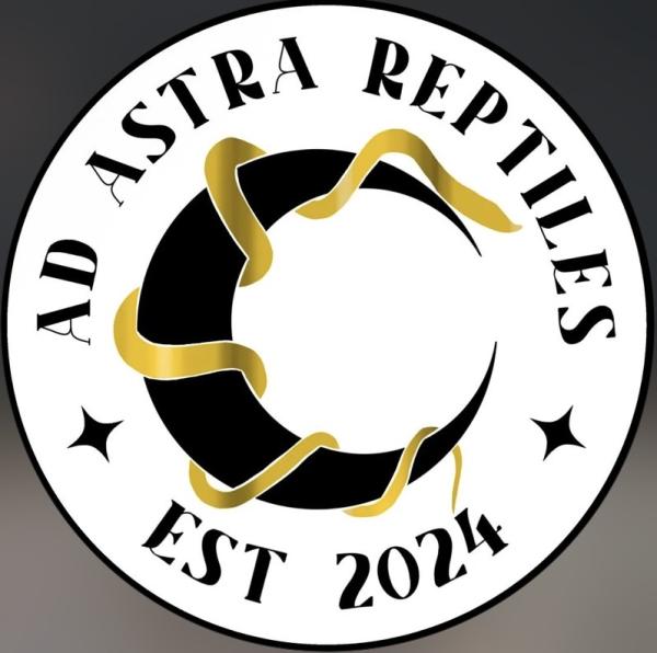 Vendor Logo
