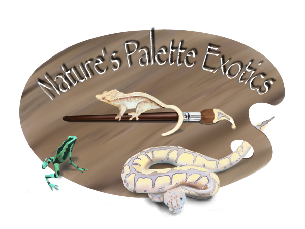 Vendor Logo