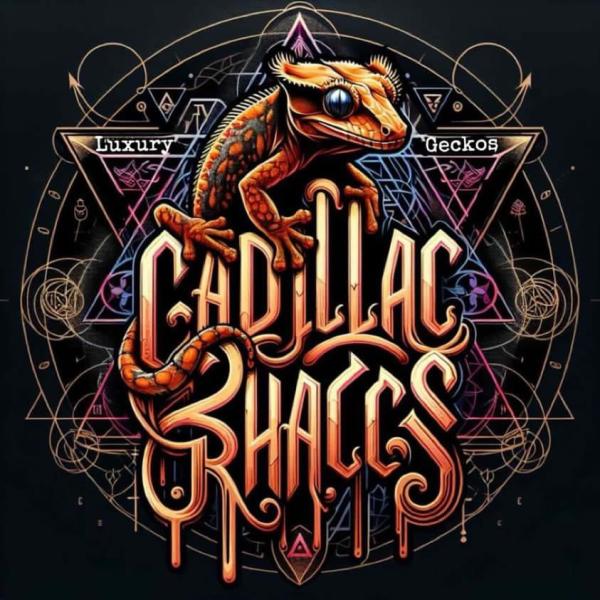 Vendor Logo