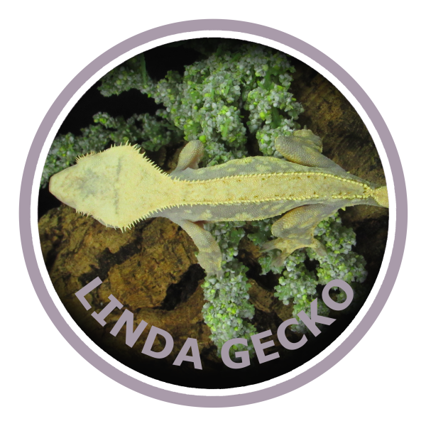 Vendor Logo