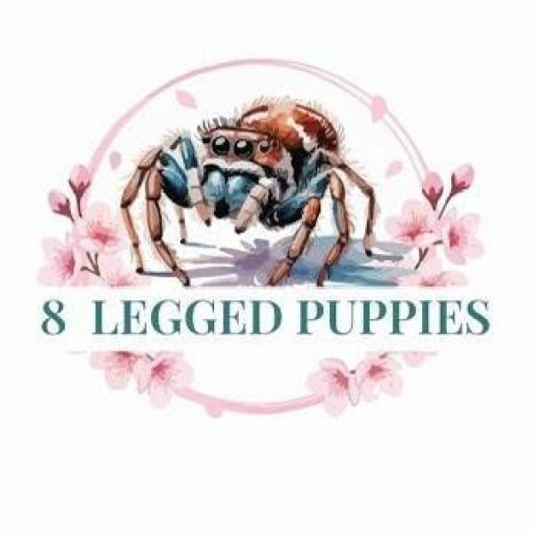 Vendor Logo
