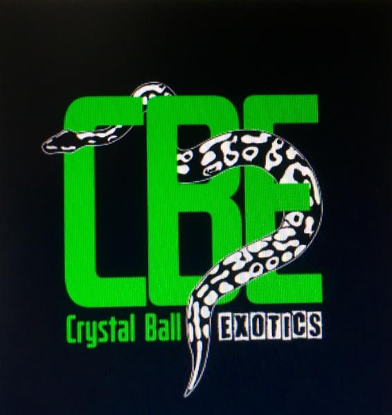 Vendor Logo