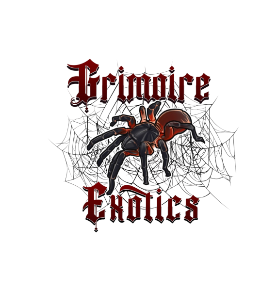 Vendor Logo