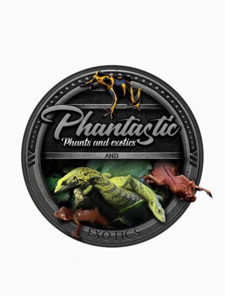 Vendor Logo