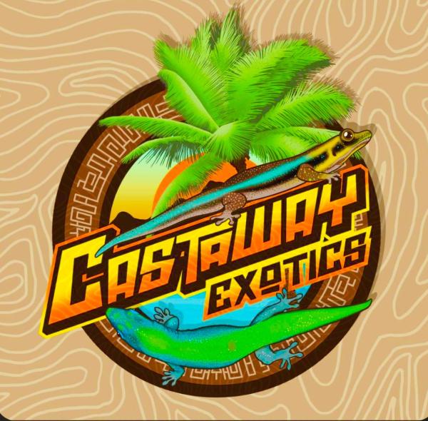 Vendor Logo