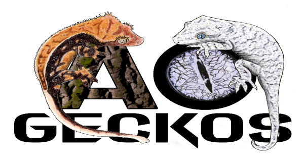 Vendor Logo