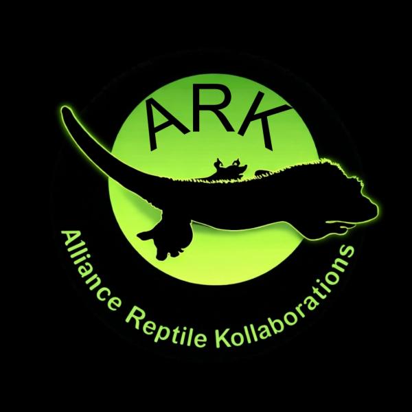 Vendor Logo