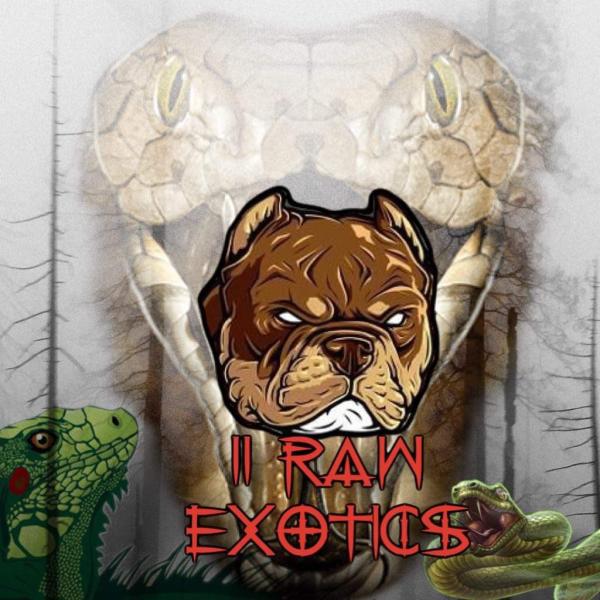 Vendor Logo