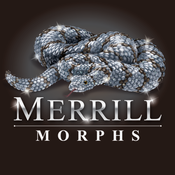 Vendor Logo