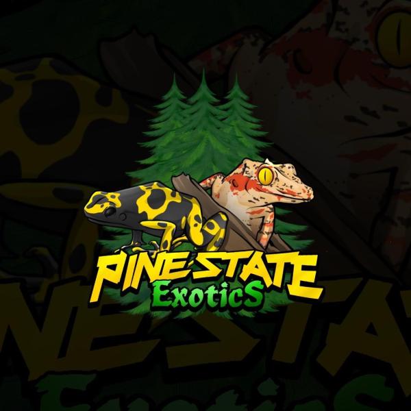 Vendor Logo