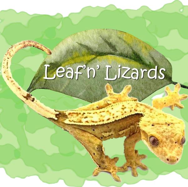 Vendor Logo