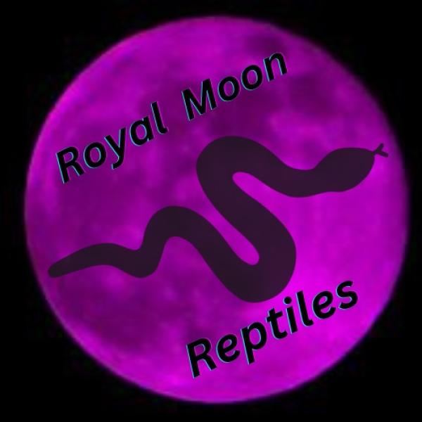 Vendor Logo