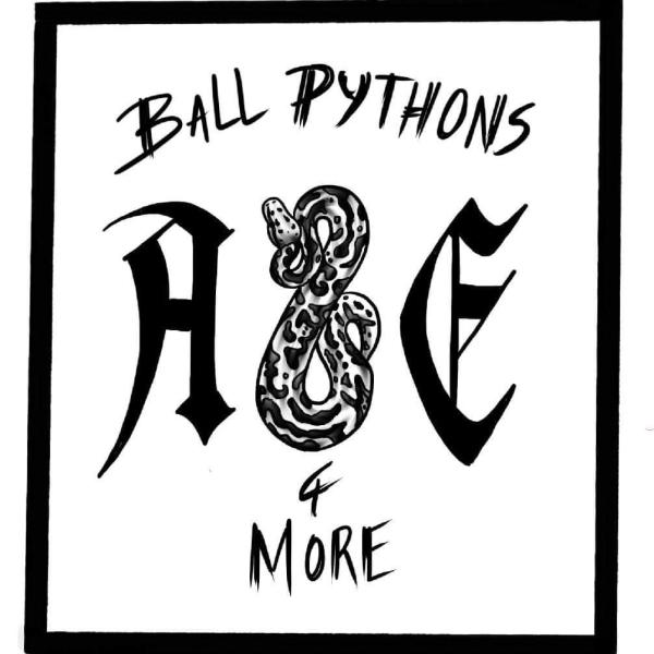 Vendor Logo