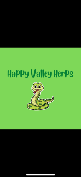 Vendor Logo
