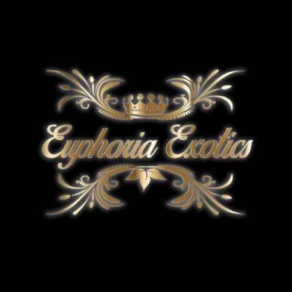 Vendor Logo