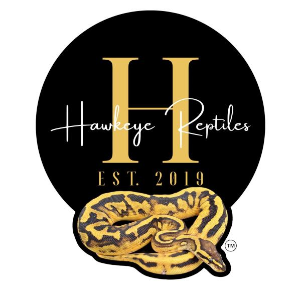 Vendor Logo