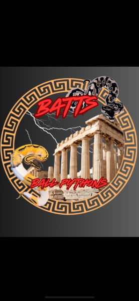 Vendor Logo