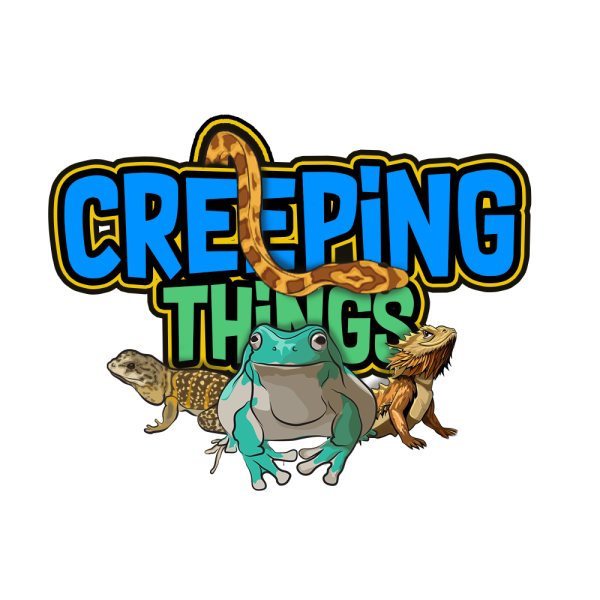 Vendor Logo