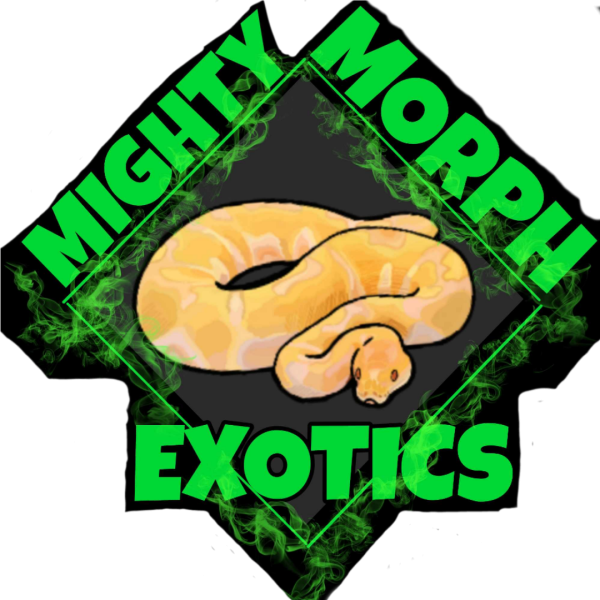 Vendor Logo