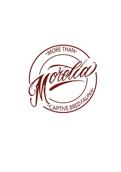 Vendor Logo