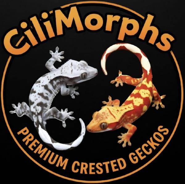 Cili Morphs Logo